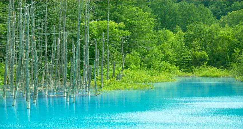 Hồ xanh Biei Hokkaido