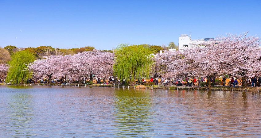 Công viên Ueno