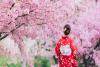 Tour Nhật Bản 6N5Đ: Từ Hà Nội - Osaka - Kobe - Kyoto - Núi Phú Sĩ - Tokyo, Bay VN