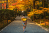 Tour Nhật Bản 4N4Đ: Từ HCM - Tokyo - Fuji - Yamanashi - Narita, Bay Vietnam Airlines + KS 3,4*