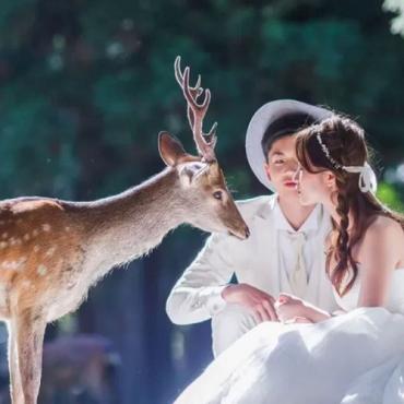 Tour Nhật Bản 6N5Đ: Từ Hà Nội - Nagoya - Nara - Osaka - Kyoto - Nagoya - Núi Phú Sĩ - Tokyo, Bay VN