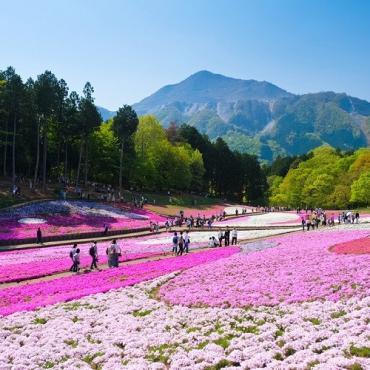 Tour Nhật Bản 6N5Đ: Từ HCM - Komatsu - Tokyo - Fuji - Shirakawago - Takayama - Kanazawa, Bay Vietjet Air + KS 3*