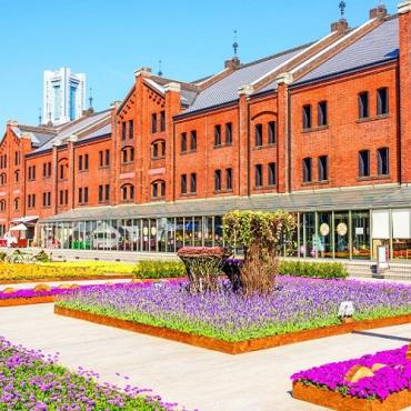 Tour Nhật Bản 5N4Đ: Từ  Hà Nội - Shizuoka - Núi Phú Sĩ - Tokyo, Bay VJ