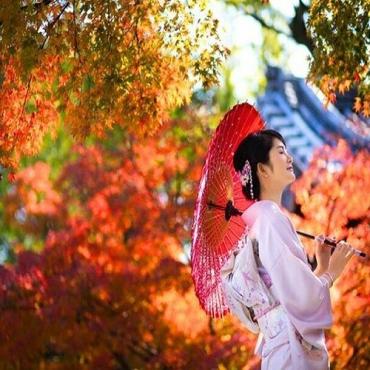 Khám Phá Mùa Thu Cung Đường Vàng Nhật Bản 6N5Đ: HCM - Kobe - Osaka - Kyoto - Aichi - Yamanashi - Fuji - Tokyo, Hotel 4* + Bay Vietnam Airlines