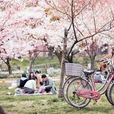 Tour Nhật Bản 6N5Đ: Từ Hà Nội - Tokyo - Núi Phú Sĩ - Kyoto - Osaka - Trượt Tuyết, Bay VJ