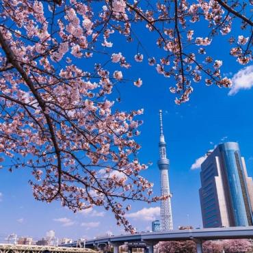 Tour Nhật Bản 6N5Đ: Từ Hà Nội - Osaka - Kobe - Kyoto - Núi Phú Sĩ - Trượt Tuyết - Tokyo, Bay VN, Tết Âm Lịch