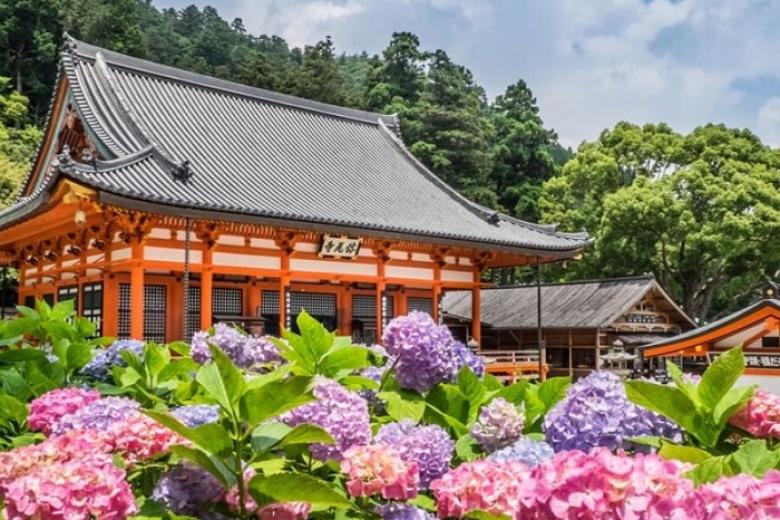 Chùa Katsuo-ji (Thắng Vĩ Tự)