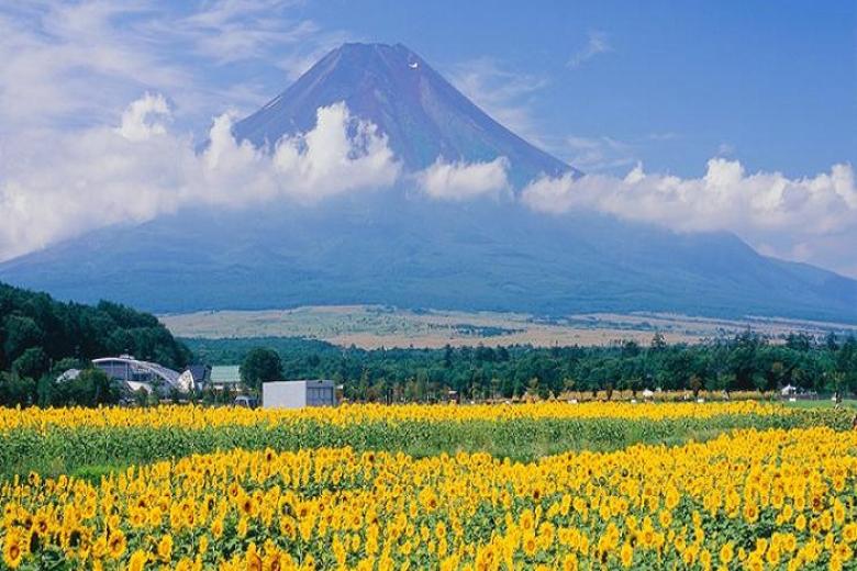 Công Viên Hanamiyako