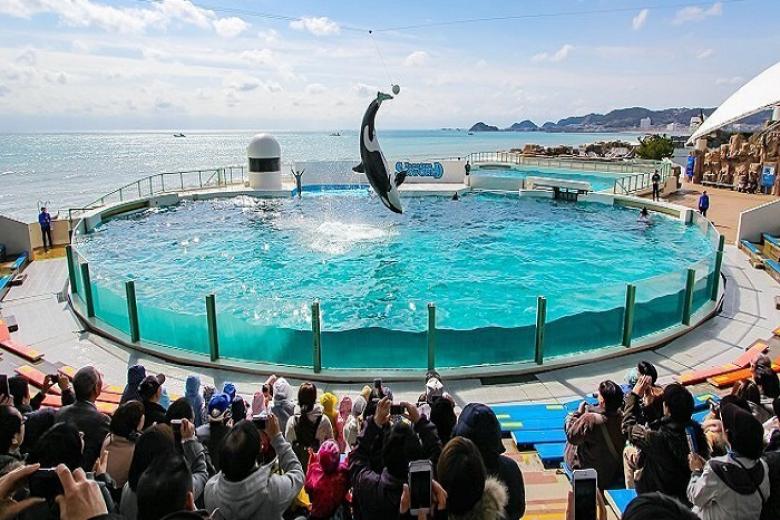 Kamogawa Seaworld