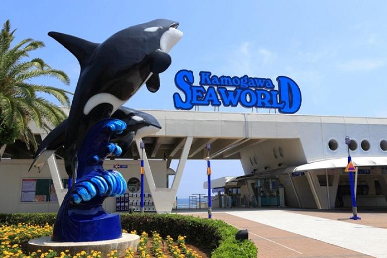 Kamogawa Seaworld