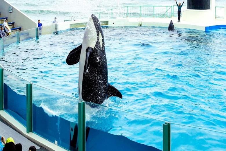 Kamogawa Seaworld