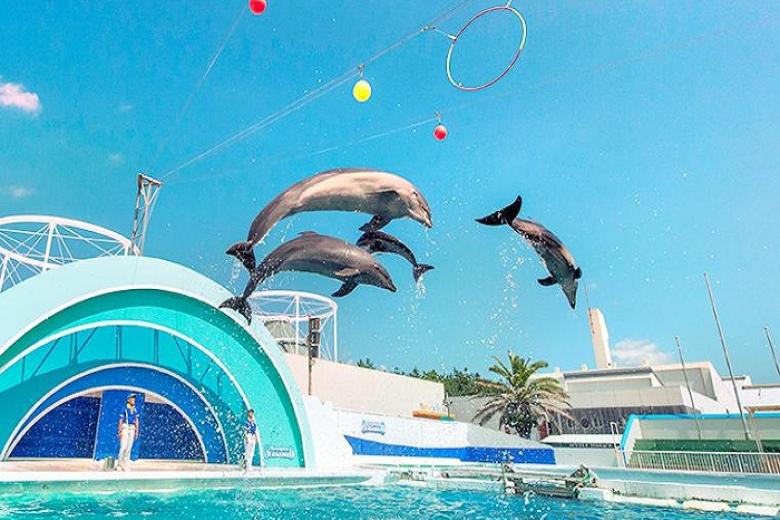 Kamogawa Seaworld