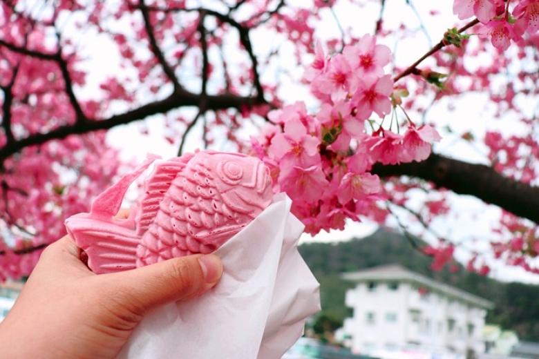 Lễ hội hoa anh đào Kawazu Sakura Festival