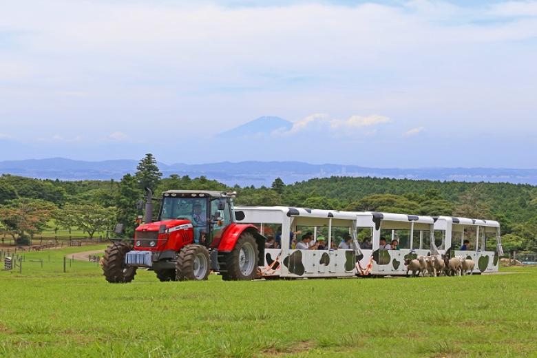 Mother Farm