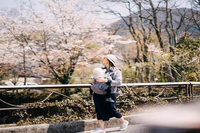 Ngắm hoa anh đào