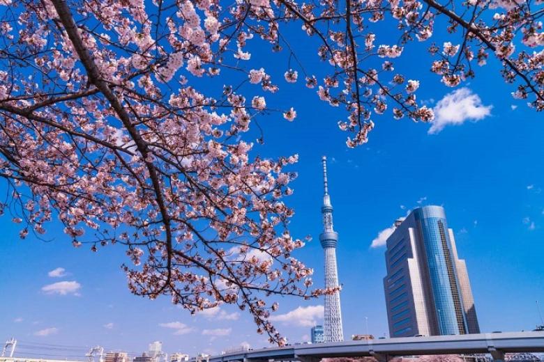 Tòa tháp truyền hình Tokyo