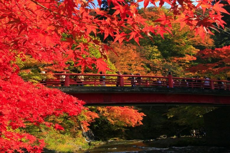 Thung lũng Korankei