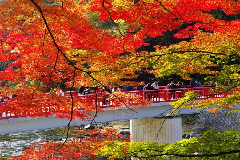 Thung lũng Korankei