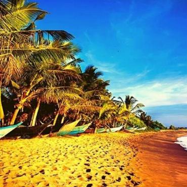 Tour Sri Lanka 6N5Đ: Từ HCM - Colombo - Negombo - Sigiriya - Safari - Kandy - Nuwara Elyia, Bay VN + KS 4*