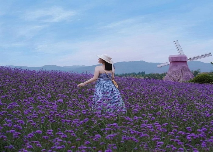 Vui chơi, tham quan