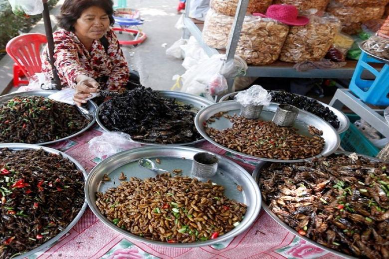 Chợ Côn Trùng