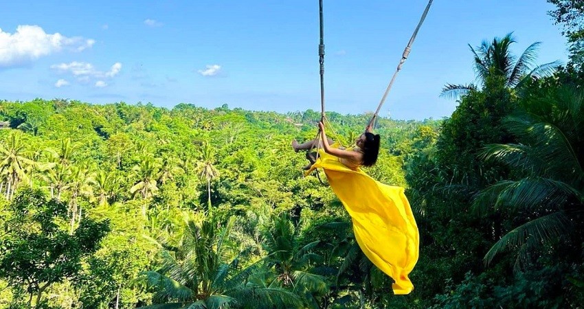 Vui chơi, tham quan