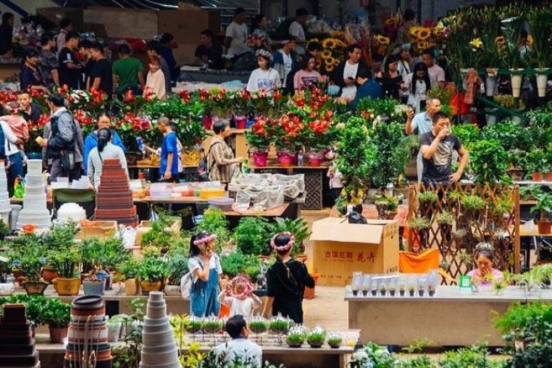 Chợ hoa Đấu Nam