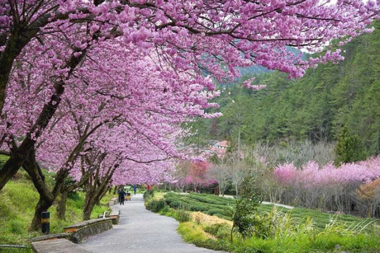 Công viên Dương Minh Sơn