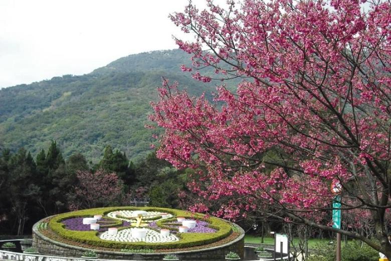 Công viên Dương Minh Sơn