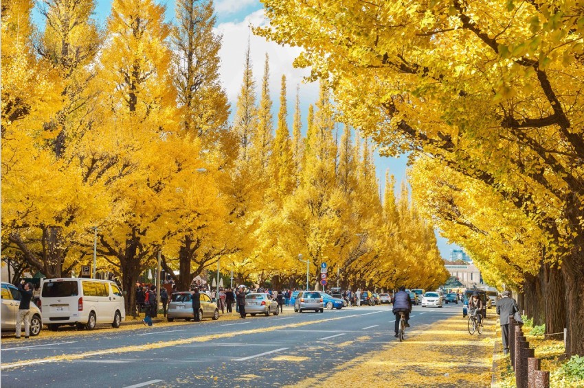 du lịch Nhật Bản