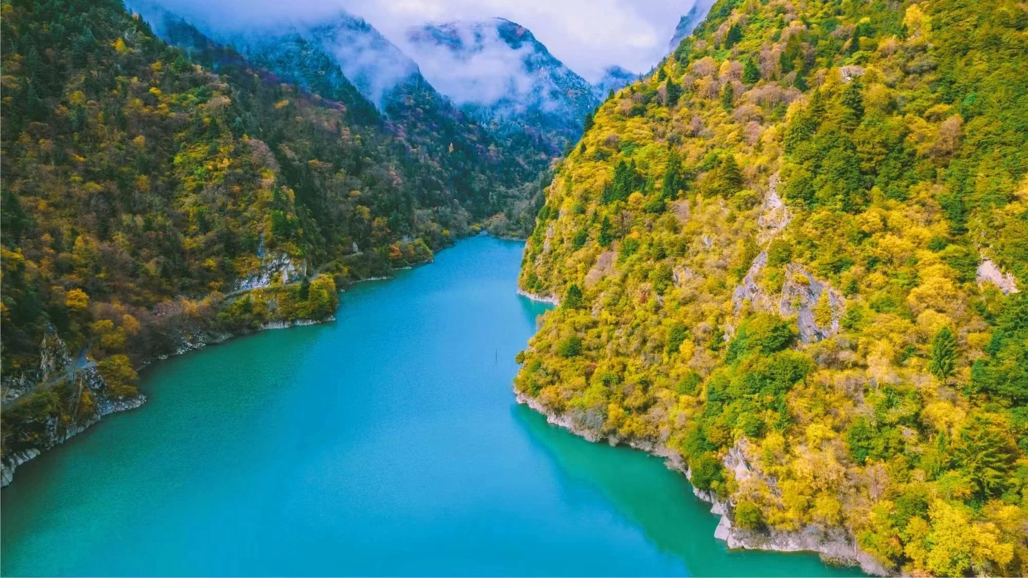 Điệp Khê Hải Tử