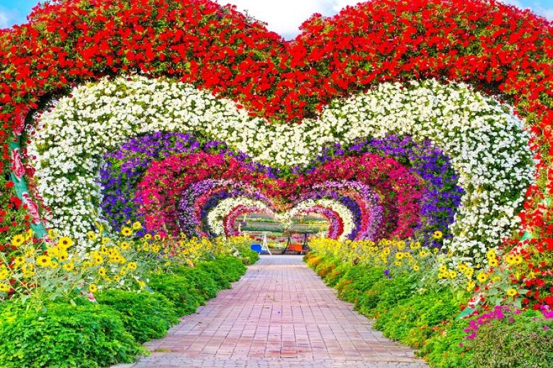 Vườn hoa Miracle Dubai