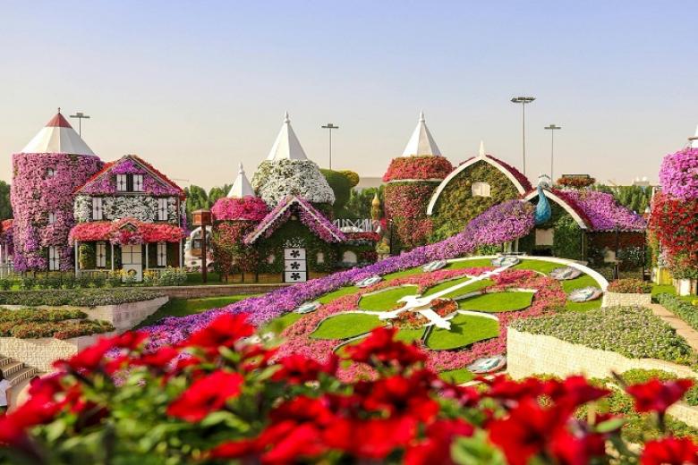Vườn hoa Miracle Dubai