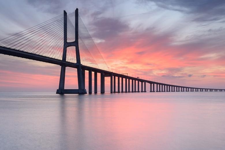 Vasco da Gamma Bridge
