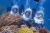 Tour Miền Trung 4N3Đ: Từ Hà Nội - Nha Trang - Ninh Thuận, Bay Sunphuquoc Airway + Xe Ôtô + KS 4*