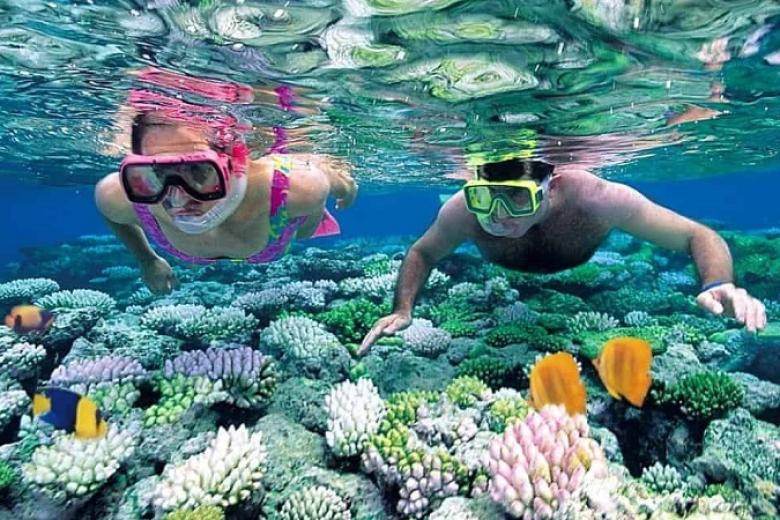 Câu cá lặn ngắm san hô