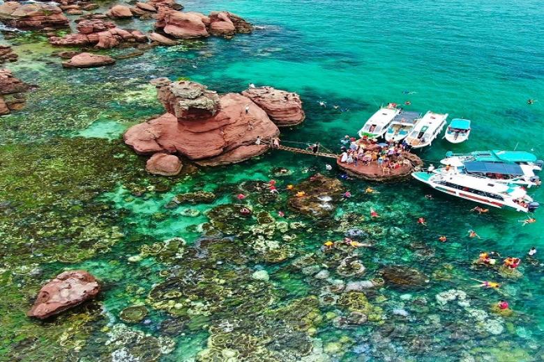 Câu cá lặn ngắm san hô