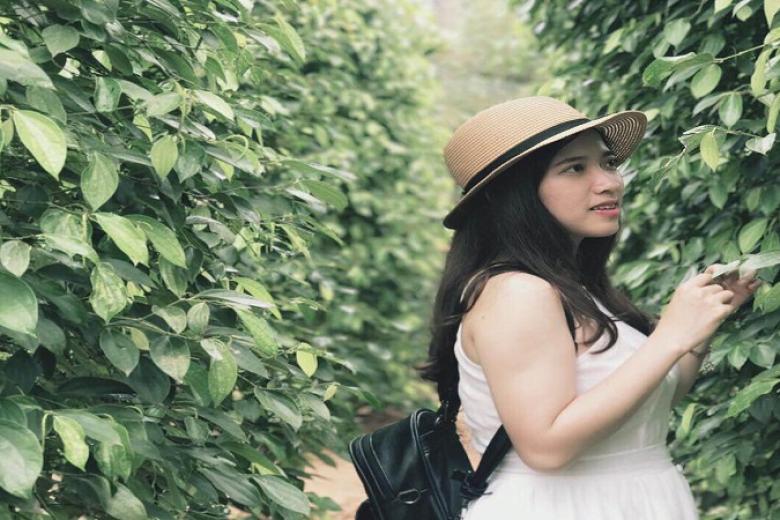 Vườn tiêu Phú Quốc