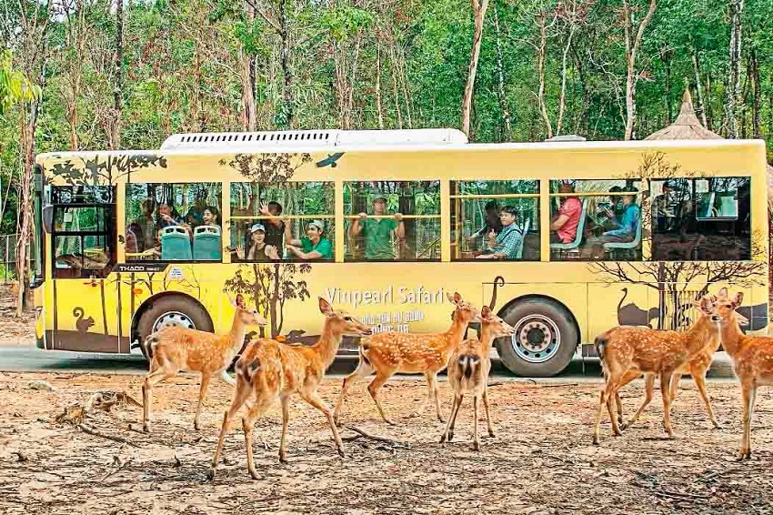 Vinpearl Safari Phú Quốc