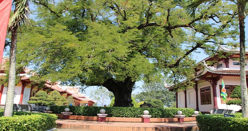 Bảo tàng Quang Trung