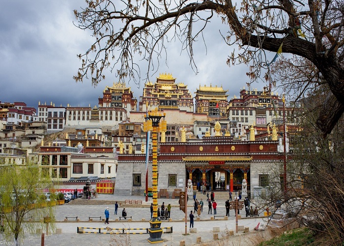 Khách trải nghiệm