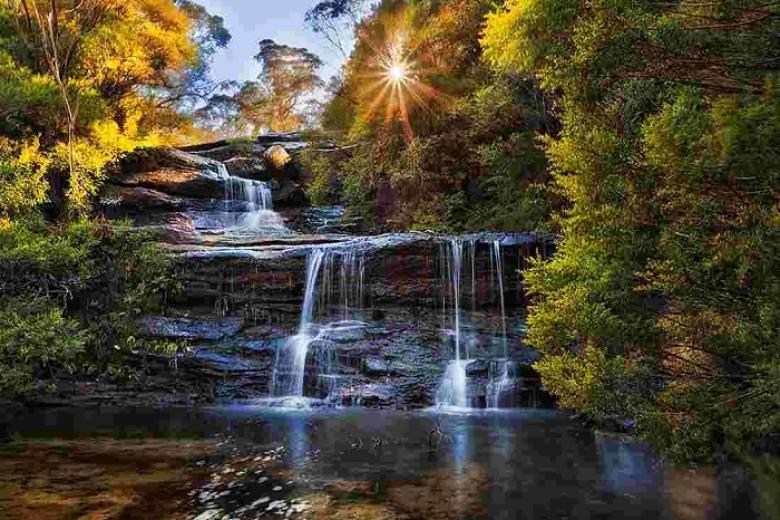 Khu bảo tồn thiên nhiên Blue Mountain