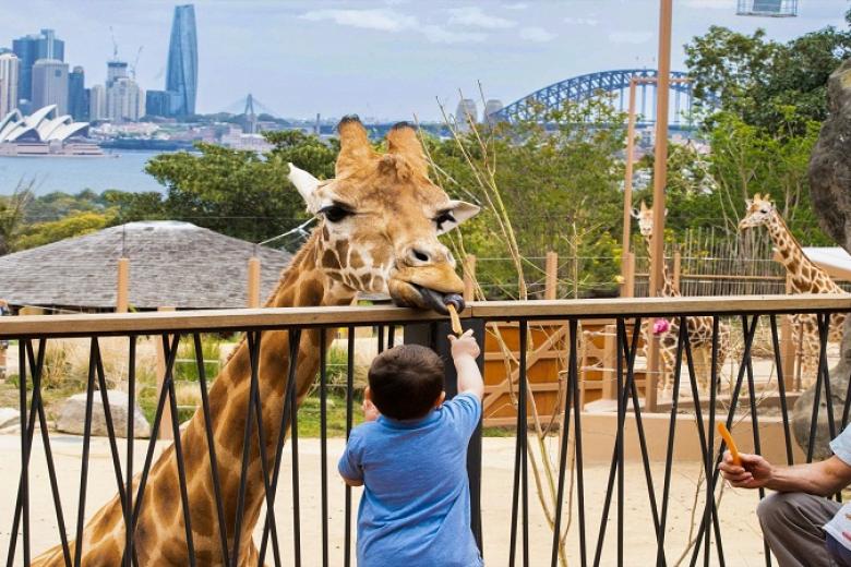 Taronga Zoo