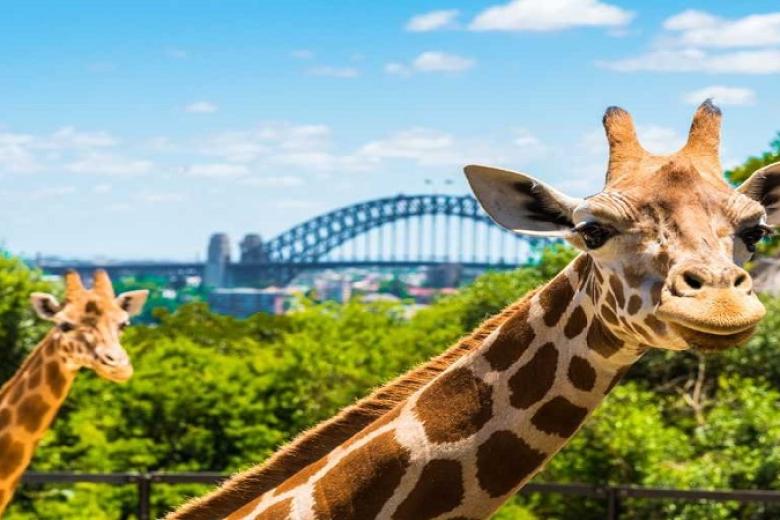 Taronga Zoo