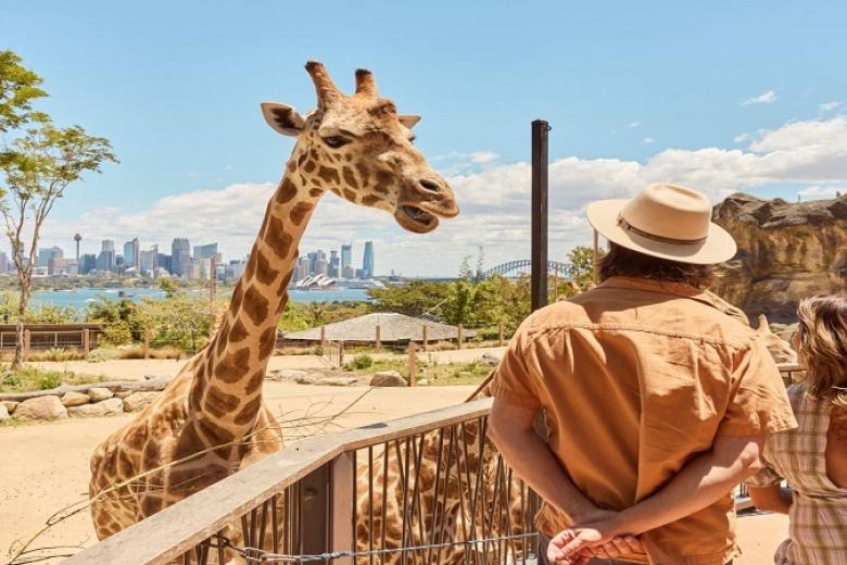 Taronga Zoo