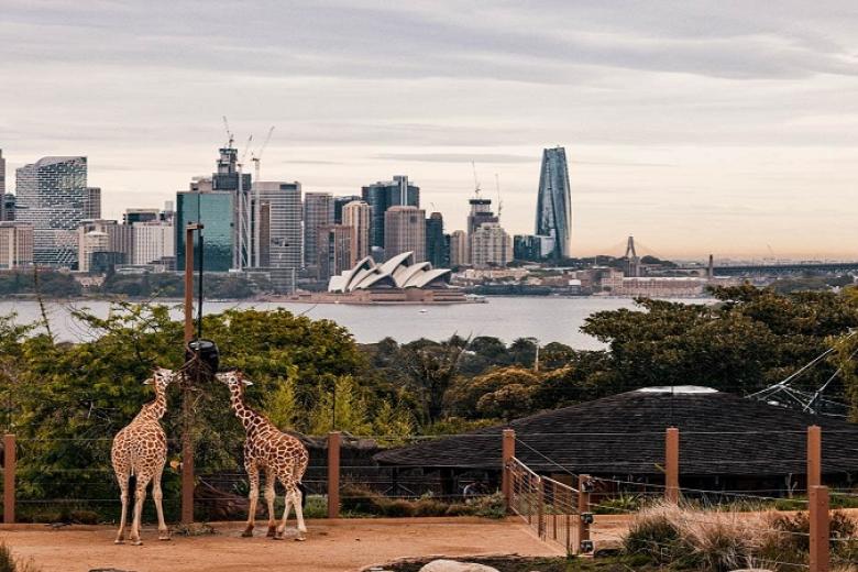 Taronga Zoo
