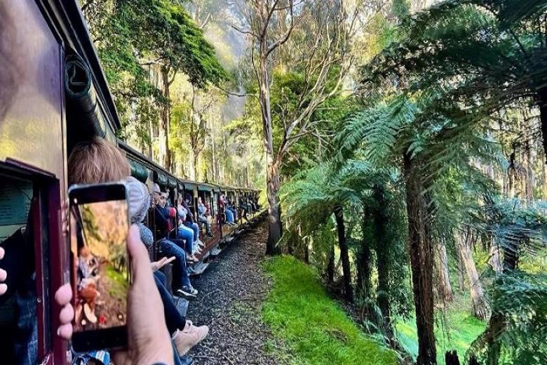 Xe lửa hơi nước: Puffing Billy